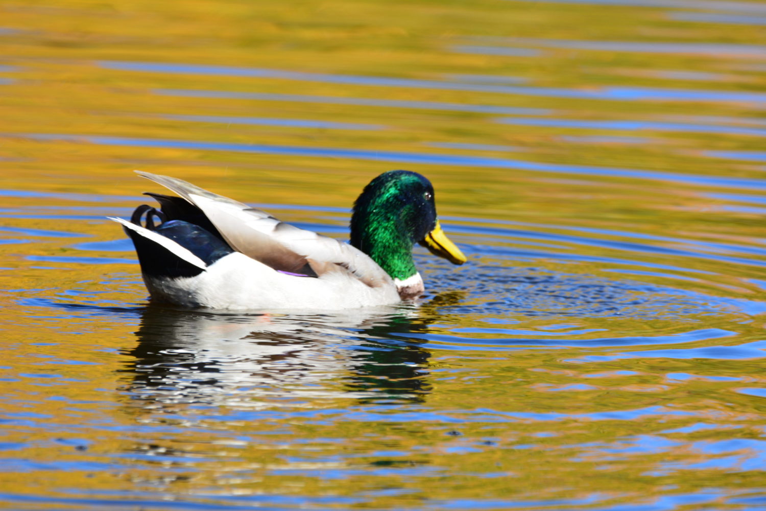 Nature Photo by Eunice Sloan