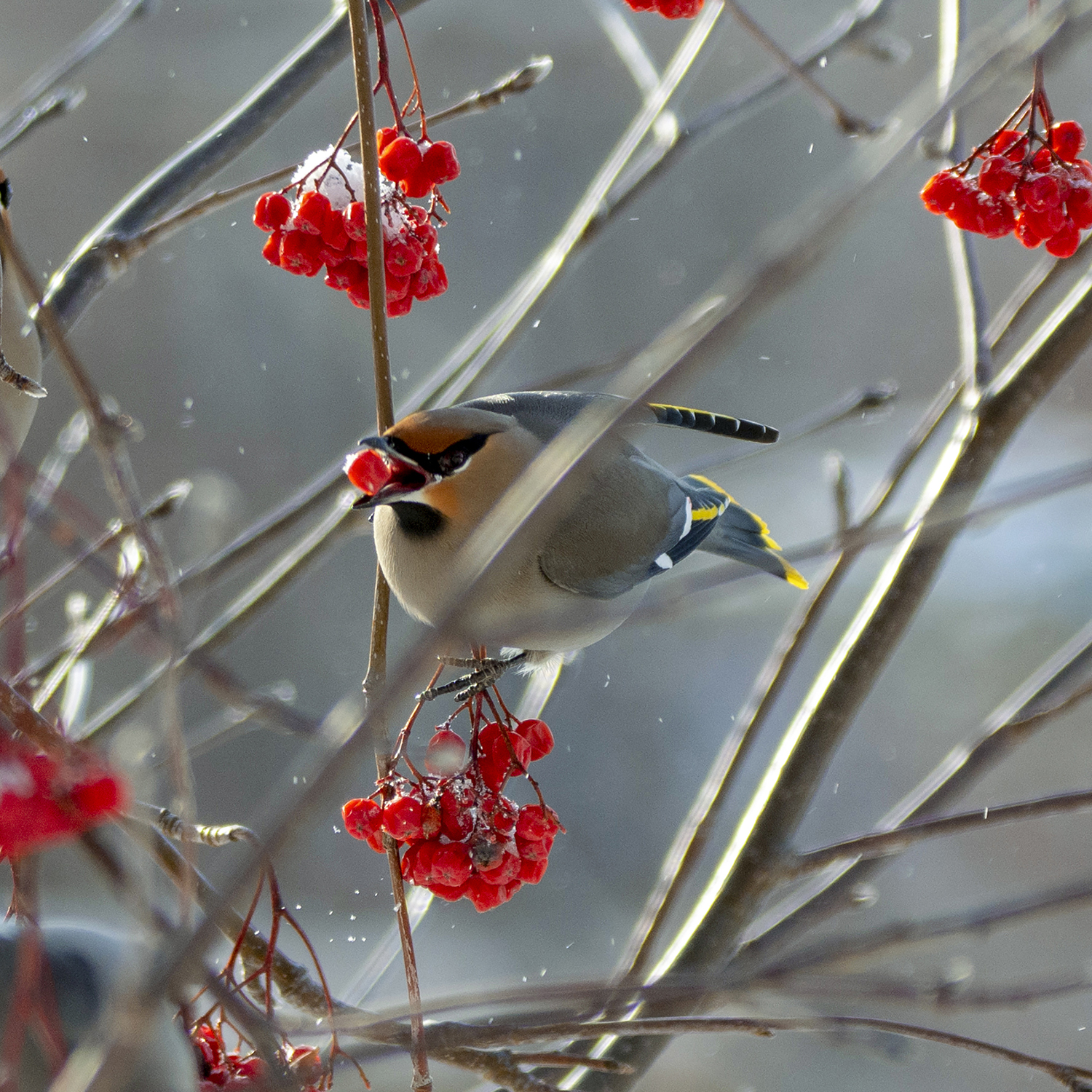 Nature Photo by Eunice Sloan