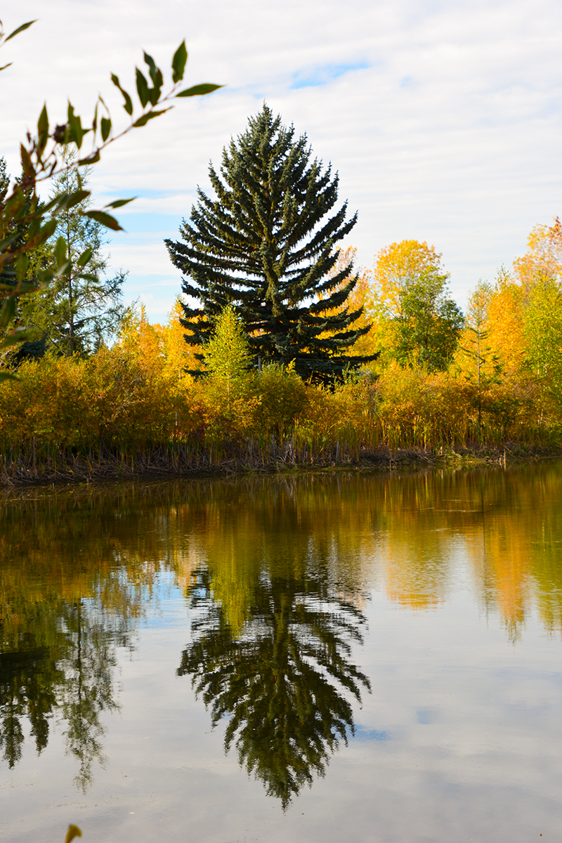 Seasons Photo by Eunice Sloan